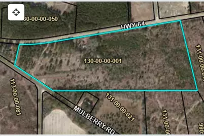 0 Hwy 64 E, Barnwell, SC 29812 - Photo 1