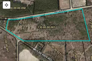 0 Hwy 64 E, Barnwell, SC 29812 - Photo 1
