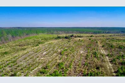 000 Three Notch Road, Monetta, SC 29105 - Photo 1