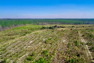 000 Three Notch Rd, Monetta, SC 29105 - Photo 1