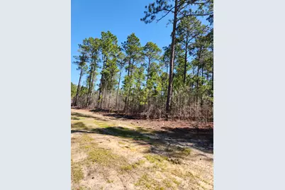 Lot 29 Cool Mount Drive, Aiken, SC 29803 - Photo 1