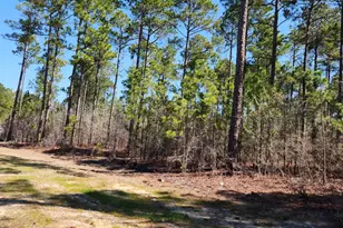 Lot 29 Cool Mount Dr, Aiken, SC 29803 - Photo 1