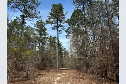 Lot 7 Cooks Pond Road, Windsor, SC 29856 - Photo 1