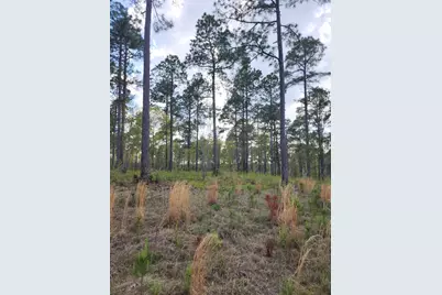 Lot 43 Pasture Creek Lane, Aiken, SC 29803 - Photo 1