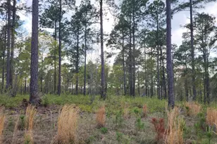 Lot 43 Pasture Creek Ln, Aiken, SC 29803 - Photo 1