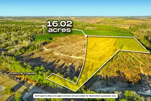 Tract 4 Festival Trail, Salley, SC 29137 - Photo 1