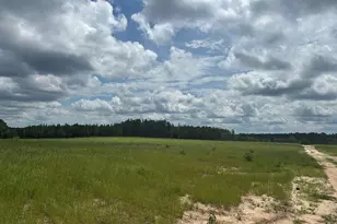 00 /Tbd Snipes Pond Rd, Aiken, SC 29805 - Photo 1