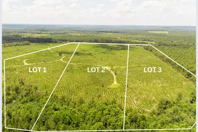 Lot 1 Three Notch Road, Monetta, SC 29105 - Photo 1