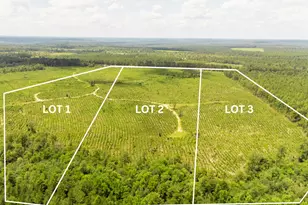 Lot 3 Three Notch Rd, Monetta, SC 29105 - Photo 1