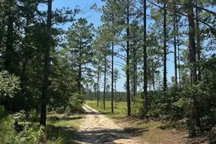 1058 Wrights Mill Rd, Aiken, SC 29801 - Photo 1