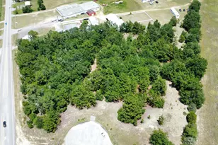 Tbd Edmund Hwy, Pelion, SC 29123 - Photo 1