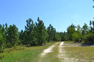 5308 Enigma Dr, Windsor, SC 29856 - Photo 1