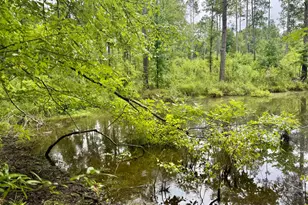 Lot E Camp Creek Rd, Lancaster, SC 29720 - Photo 1