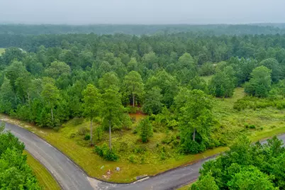 Lot 5 Cooks Pond Rd, Windsor, SC 29856 - Photo 1