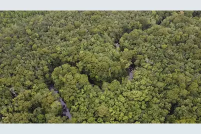 Tbd Guinyard Boulevard, Springfield, SC 29146 - Photo 1