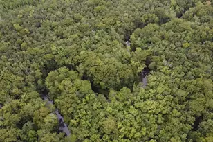 Tbd Guinyard Blvd, Springfield, SC 29146 - Photo 1