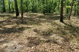 169 Courtney Rd, Trenton, SC 29847 - Photo 1