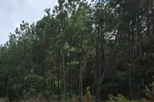 Lot K Old Edgefield Rd, Ninety Six, SC 29666 - Photo 1