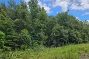 4A Turner, Beech Island, SC 29842 - Photo 1