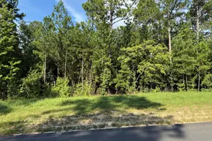 Lot 48 Pasture Creek Ln, Aiken, SC 29803 - Photo 1