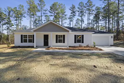1119 Fox Young Road, Wagener, SC 29164 - Photo 1