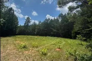 Lot N5 Old Edgefield Rd, Ninety Six, SC 29666 - Photo 1