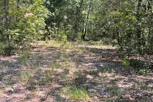 525 Kasey Ln, Aiken, SC 29803 - Photo 1