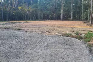 12288 Bloomville Rd, Manning, SC 29102 - Photo 1