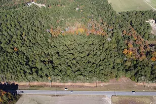 00 Old Charleston Rd, Pelion, SC 29123 - Photo 1