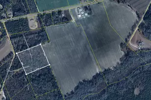 Xxx Sturgeon Rd, Barnwell, SC 29812 - Photo 1