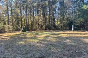 Tbd Hwy 78, Williston, SC 29853 - Photo 1