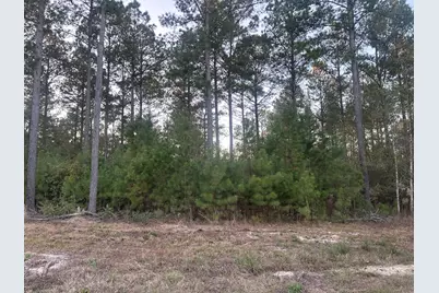 Lot 2 Blacks Road, Williston, SC 29853 - Photo 1