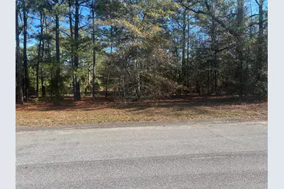 00 Fairway Drive, New Ellenton, SC 29809 - Photo 1