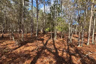 Lot 126 Ravenglass Ct, Aiken, SC 29803 - Photo 1