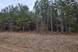 2 5A Seivern Rd, Wagener, SC 29164 - Photo 1