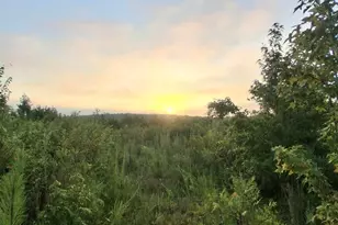 5A Bowie Rd, Troy, SC 29848 - Photo 1