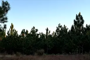 Lot 24 Snipes Pond, Aiken, SC 29805 - Photo 1