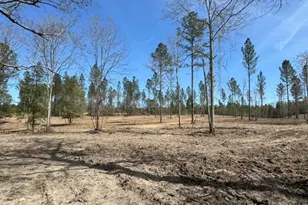 Tbd Wrights Mill Rd, Aiken, SC 29801 - Photo 1