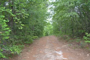 00 Old Barnwell Rd, Windsor, SC 29856 - Photo 1