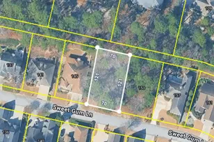 149 Sweet Gum Ln, Aiken, SC 29803 - Photo 1