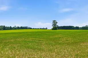 00 Bodie Rd, Wagener, SC 29164 - Photo 1