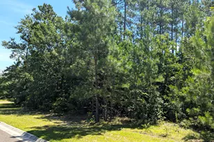 1033 Anderson Mill Rd, Aiken, SC 29803 - Photo 1