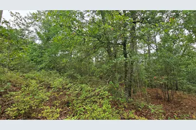 Lot 9 & 10 Cleora Murray Drive, Aiken, SC 29801 - Photo 1