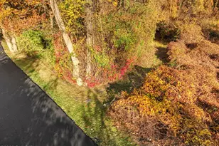 38 Bedford Rd, Greenwich, CT 06831 - Photo 30