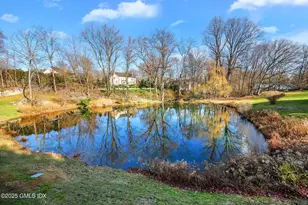 33 E Lyon Farm Dr, Greenwich, CT 06831 - Photo 30