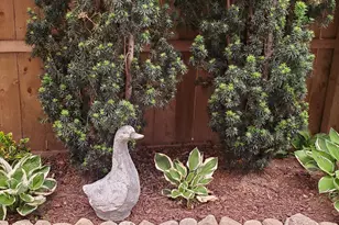 92 Valley Rd, Greenwich, CT 06807 - Photo 42