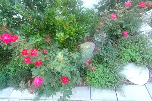 92 Valley Rd, Greenwich, CT 06807 - Photo 44