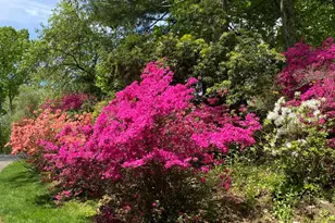 150 N Old Stone Bridge Rd, Greenwich, CT 06807 - Photo 24