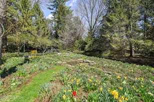 135 & 129 Zaccheus Mead Ln, Greenwich, CT 06831 - Photo 50