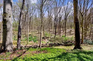 46 Stag Ln, Greenwich, CT 06831 - Photo 26